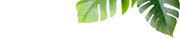 Leaves bottom